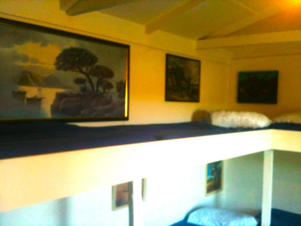 بيت شباب Taringatura Backpackers Benmore المظهر الخارجي الصورة