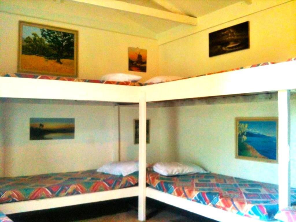 بيت شباب Taringatura Backpackers Benmore المظهر الخارجي الصورة