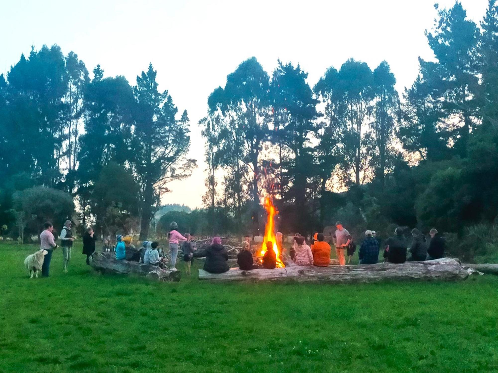 بيت شباب Taringatura Backpackers Benmore المظهر الخارجي الصورة