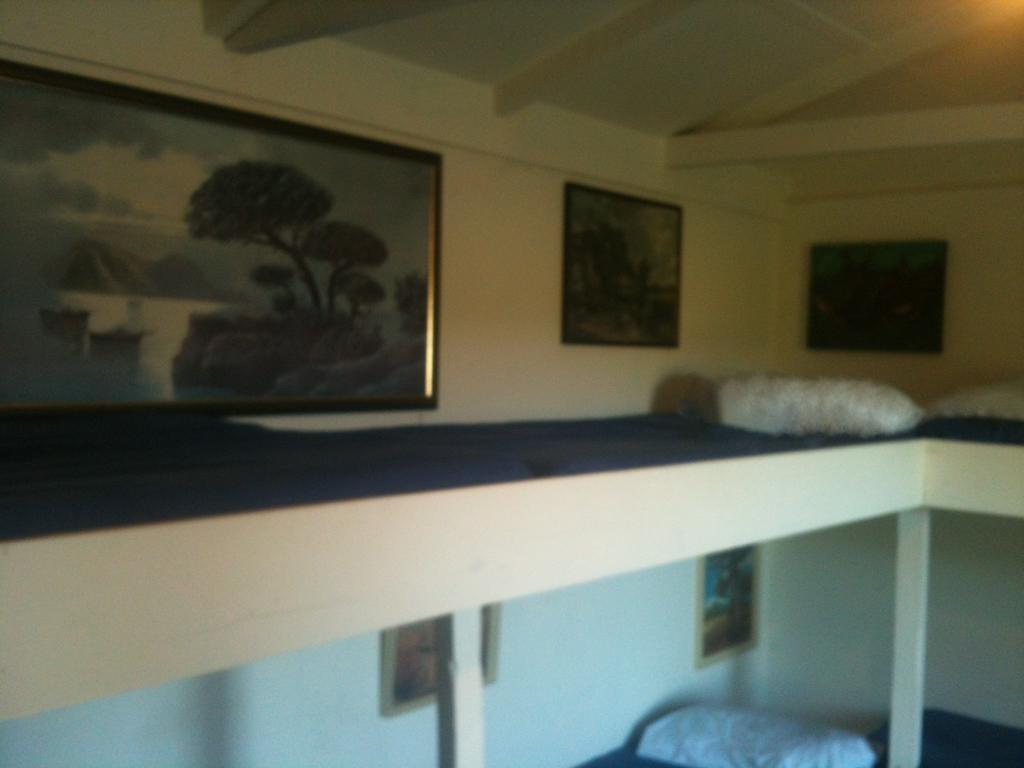 بيت شباب Taringatura Backpackers Benmore المظهر الخارجي الصورة